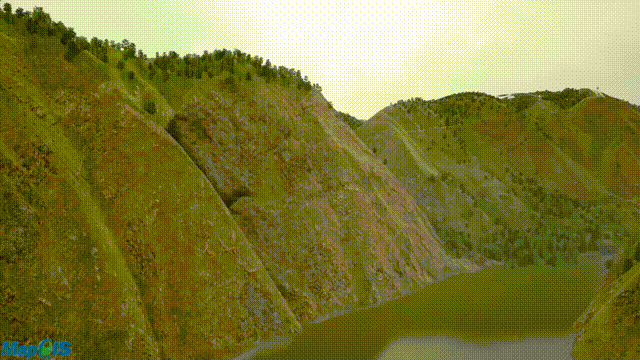 1.gif